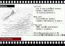 BPB (Brachial Plexus Block) 10페이지