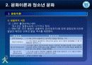 제2강 문화이론과 청소년문화 3페이지