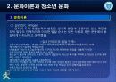 제2강 문화이론과 청소년문화 13페이지