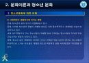 제2강 문화이론과 청소년문화 21페이지