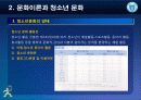 제2강 문화이론과 청소년문화 22페이지