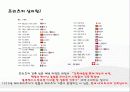 피터줌터에 대해서 4페이지
