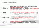 피터줌터에 대해서 15페이지