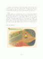 초등학교 국어과 6학년 문학 6단원 작품을 다른갈래로 표현한다 [교육 내용 상세화] 43페이지