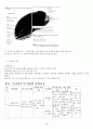 문자 해득과 문식성 지도 28페이지