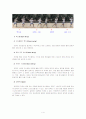 테니스 레포트 (스트로크에 대해서) 6페이지