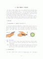 테니스 레포트 (스트로크에 대해서) 11페이지