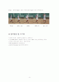 테니스 레포트 (스트로크에 대해서) 12페이지