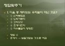 1930년대 작가들의 소설문장 -우리 겨레의 말은 겨레의 삶에서 생겨나고 삶 속에서 쓰이는 말이다 20페이지