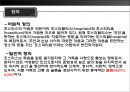 죽음과 호스피스 4페이지