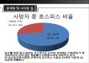 죽음과 호스피스 21페이지