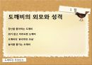 설화와 고소설에 나타난 환상성 [도깨비가 있다] 7페이지