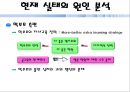 공교육과 사교육 17페이지