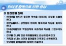 인터넷 중독과 우리 아이들  11페이지