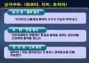 프로이트 정신분석  7페이지