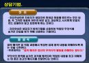 프로이트 정신분석  20페이지