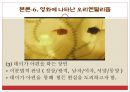 패왕별희 18페이지