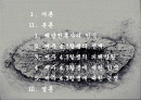 한국 현대사의 왜곡, 제주 4.3항쟁  2페이지