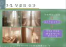 햇빛쏟아지던날들 17페이지