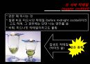 칵테일의 역사 및 분류  21페이지