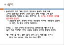 언어의 단어 구조 - 형태론  24페이지