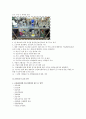 지역사회간호학 산업체 실습 보고서 39페이지