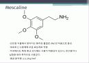 약물(마취,환각, 알츠하이머,등등) 9페이지