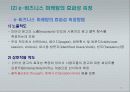 e-비즈니스 마케팅 36페이지