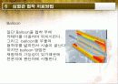 Angiography(혈관조영검사) 15페이지