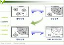 폴리스티렌의 유화중합 8페이지
