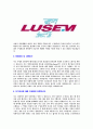 [루셈-최신공채합격자기소개서] 루셈자소서자기소개서,루셈자기소개서자소서,루샘합격자기소개서,LUSEM합격자소서,LUSEM자소서,자기소개서,자소서 4페이지