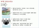 점포개설 8페이지