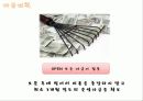 점포개설 13페이지