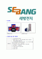 [세방전지-최신공채합격자기소개서] - 성격, 차별화된 강점, 실패경험, 10년후 계획 6페이지
