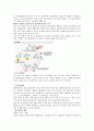 환경과학 중간고사 정리 (청주대) 29페이지