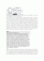 환경과학 중간고사 정리 (청주대) 43페이지