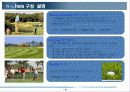 골프(Golf)의 기원 및 기본 19페이지