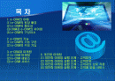 e-CRM과 개인화 마케팅 2페이지