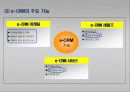 e-CRM과 개인화 마케팅 11페이지