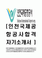 [인천국제공항공사-2013년최신합격자기소개서] 인천공항공사자기소개서자소서,인천국제공항공사자소서자기소개서,인천공항공사자소서,인천국제공항공사합격자기소개서,인천공항공사합격자소서 1페이지