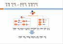 CJ E&M 경영전략분석 33페이지