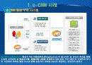 e-CRM 마케팅과 주요 정보기술 3페이지