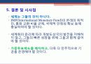 IMF외환위기의 발생원인 및 영향과 IMF에 대한 비판적 시각 21페이지