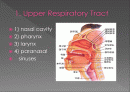Respiratory 2페이지