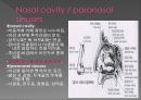 Respiratory 3페이지