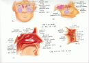 Respiratory 4페이지