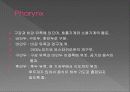 Respiratory 5페이지