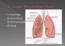 Respiratory 7페이지