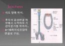 Respiratory 8페이지