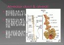 Respiratory 10페이지